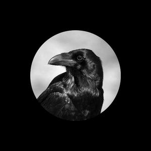 四零手机影院午夜福利
