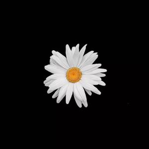 四零手机影院午夜福利
